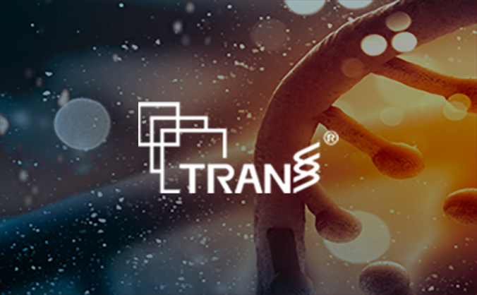 快消飲品  |  元氣森林