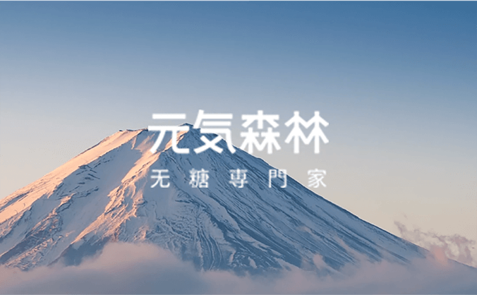 快消飲品  |  元氣森林